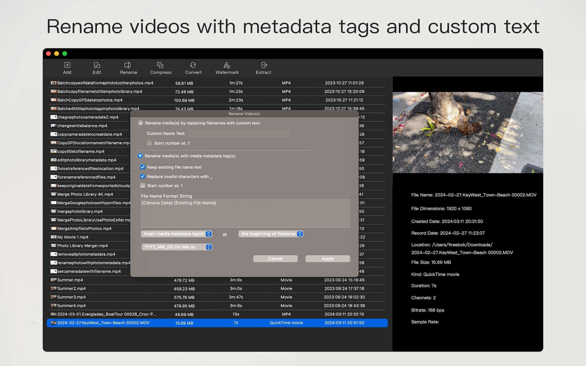 videobulk Batch Rename feature