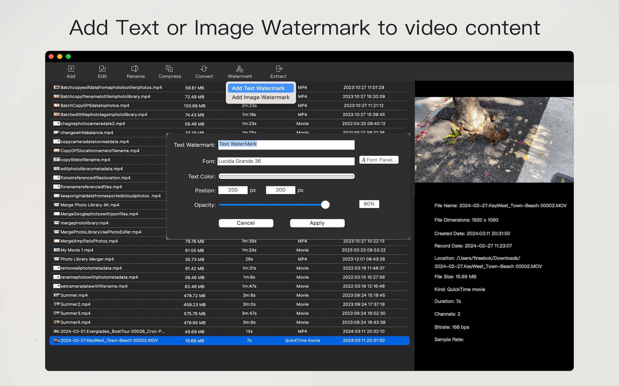 Batch Add Text and Image Watermark to Videos