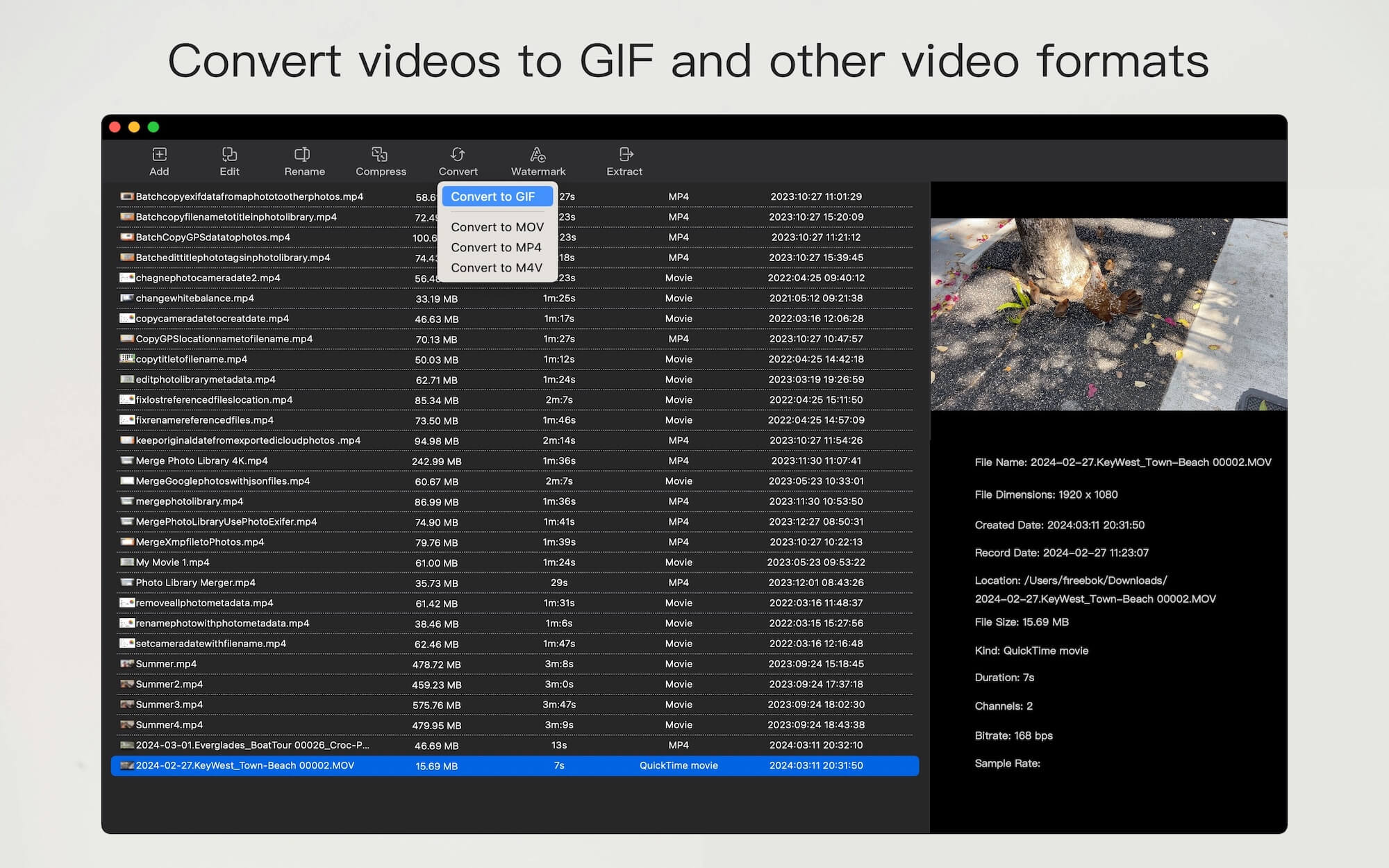 VideoBulk for Batch Conversion of Videos to GIF