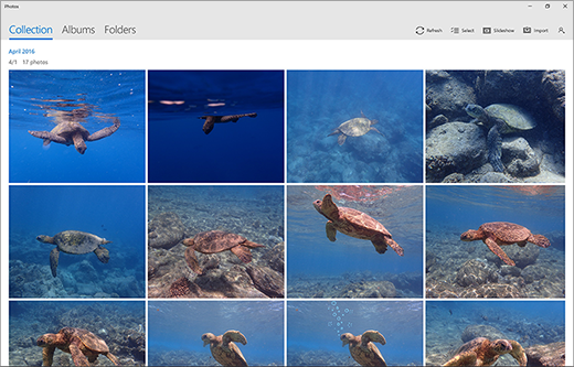 photos in Windows 10