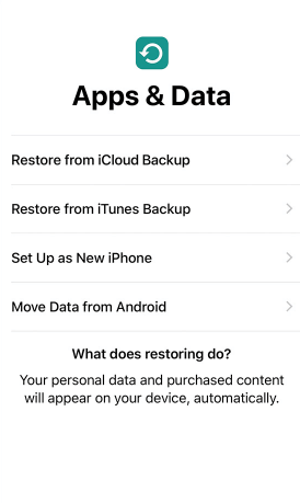 restore in set up screen