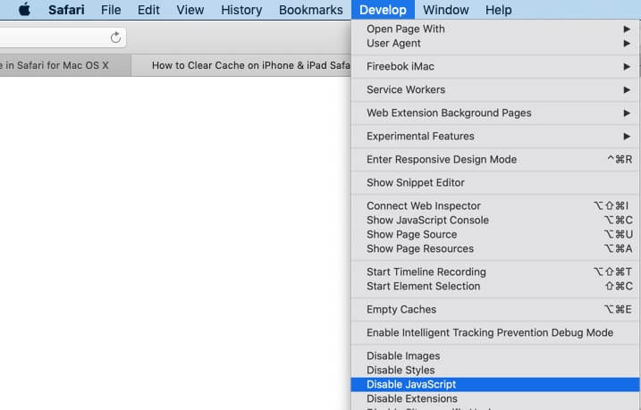 disable javascript in Safari browser