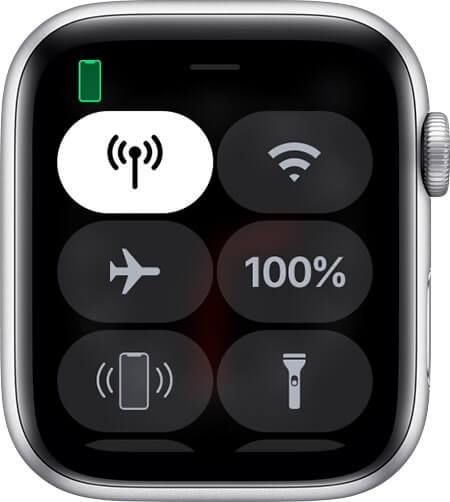 airplane on apple watch