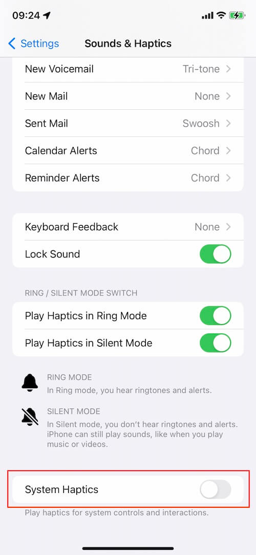 Toggle iPhone System Haptics Off 