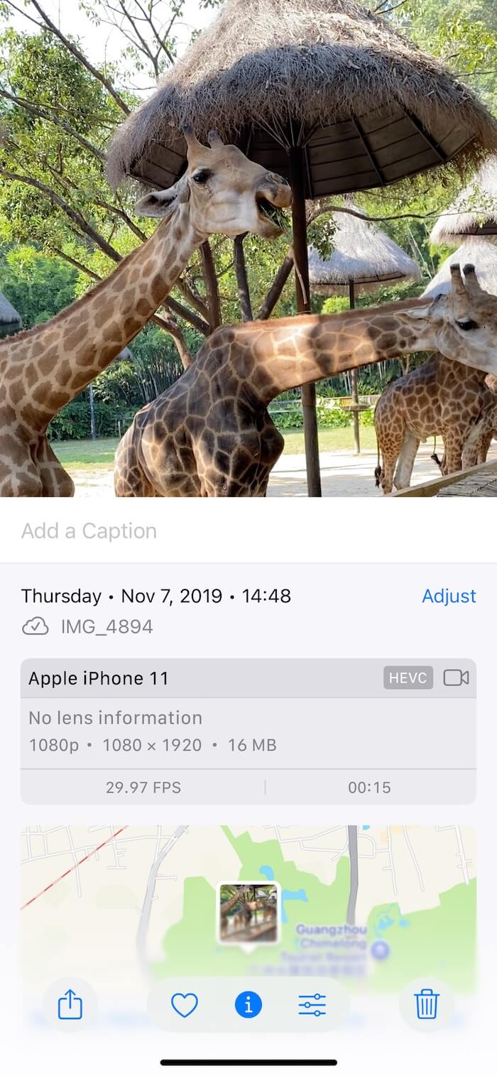 view video info on iPhone