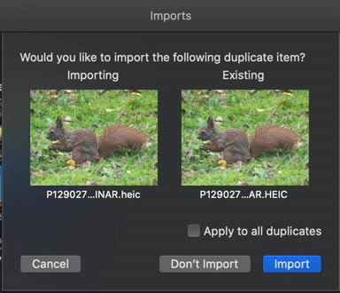 show duplicate photos in iphoto