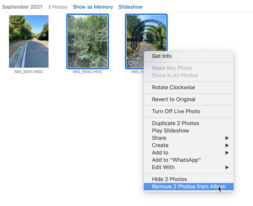Remove Photos from an Album but Keep Them in the Photo