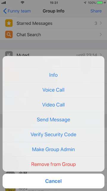 make WhatsApp group admin on iPhone