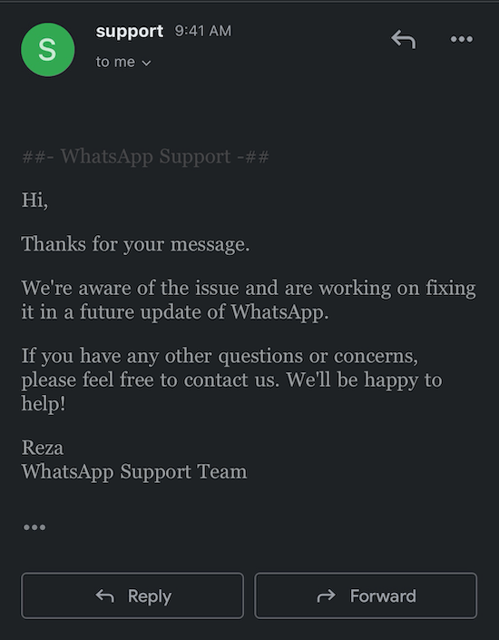 whatsapp support team